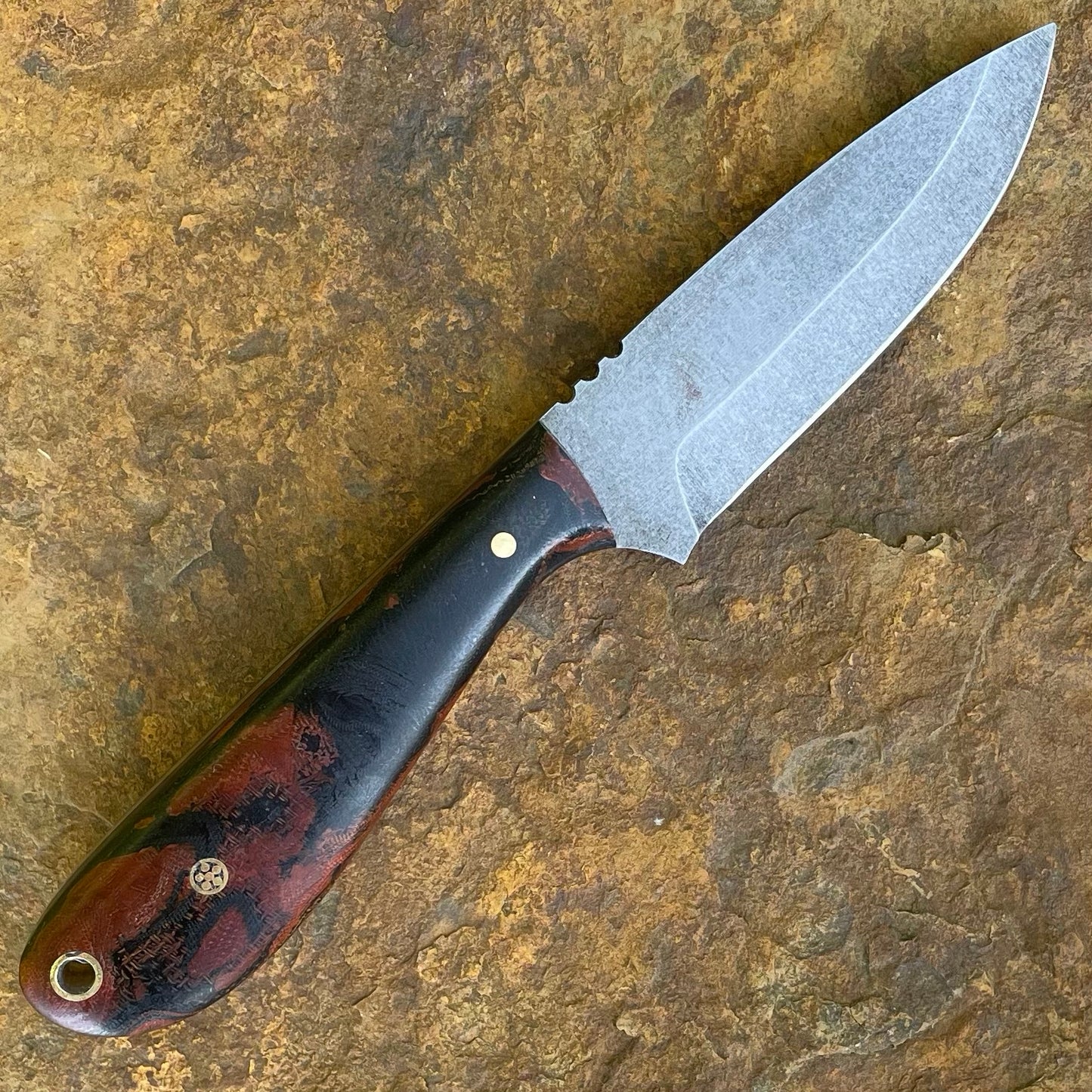 Vireo in AEB-L w/ Burl Micarta