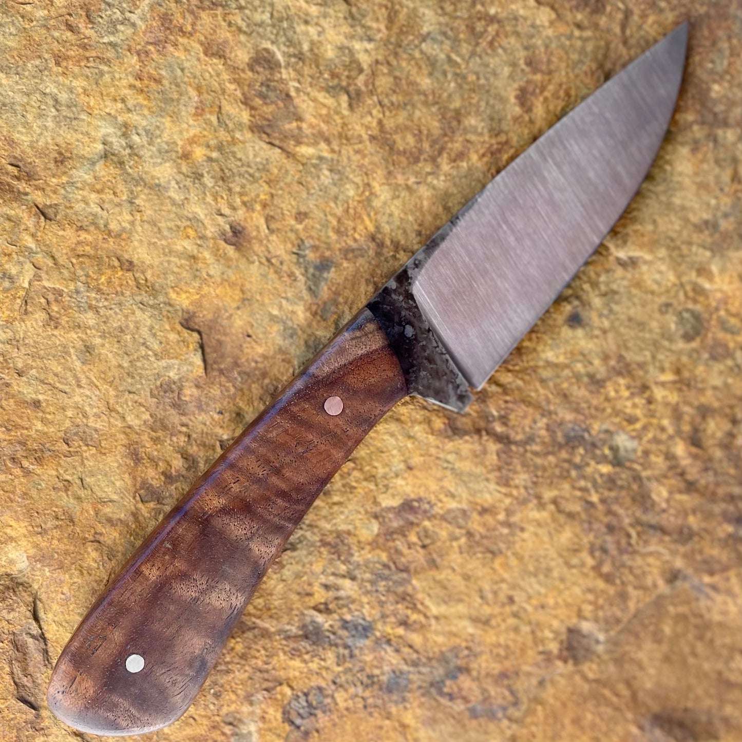 Hunter in 1080 w/ Figured Walnut
