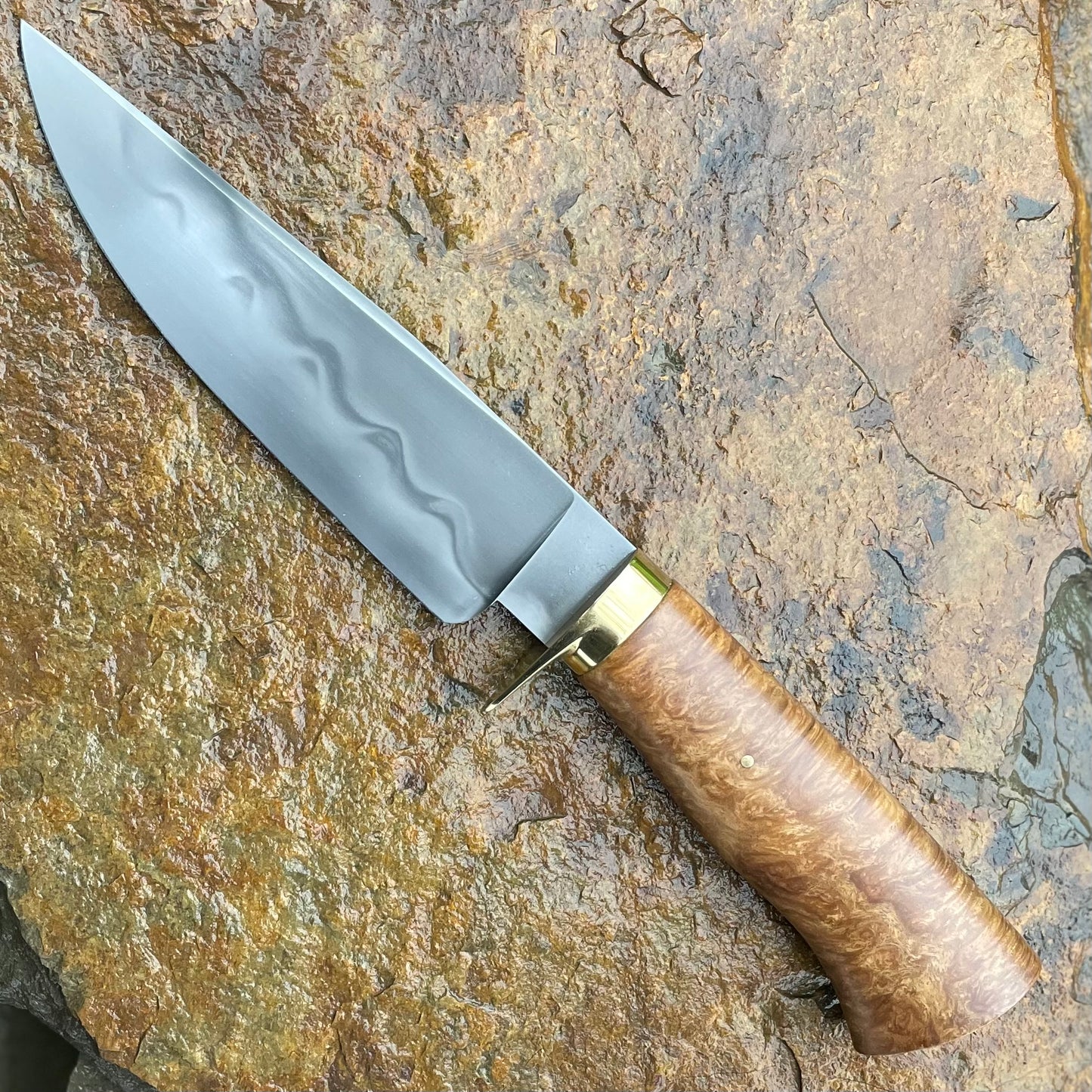 Fighter Bowie in W2 w/ Sycamore Burl