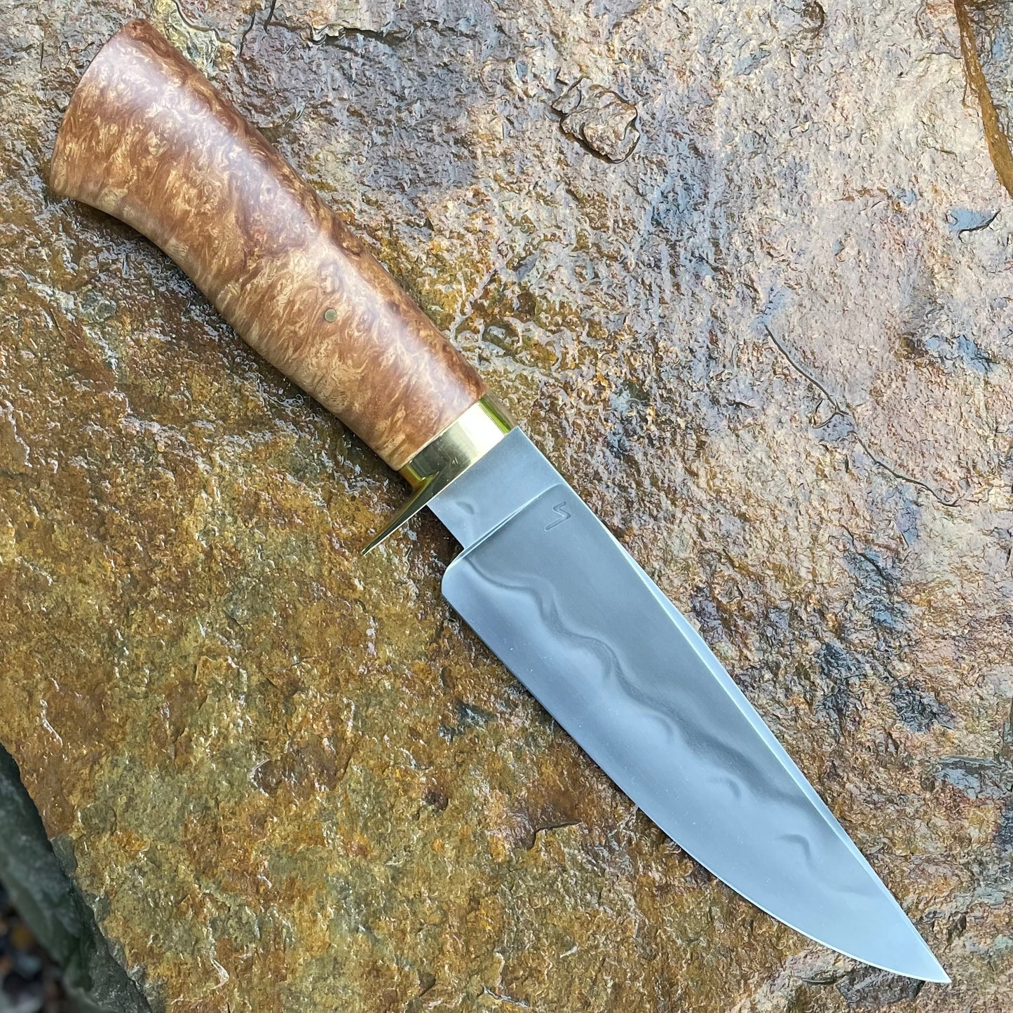 Fighter Bowie in W2 w/ Sycamore Burl