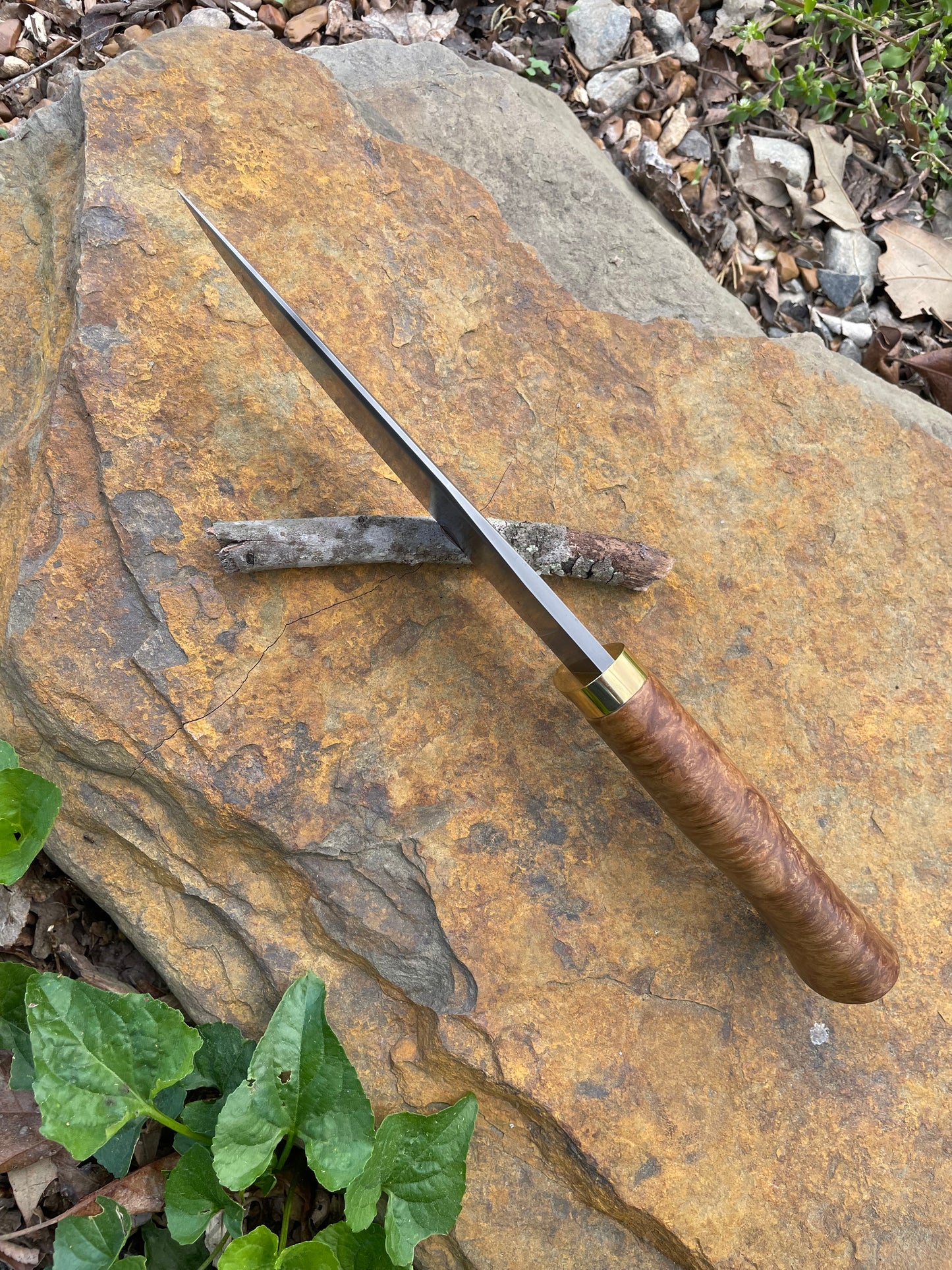 Fighter Bowie in W2 w/ Sycamore Burl