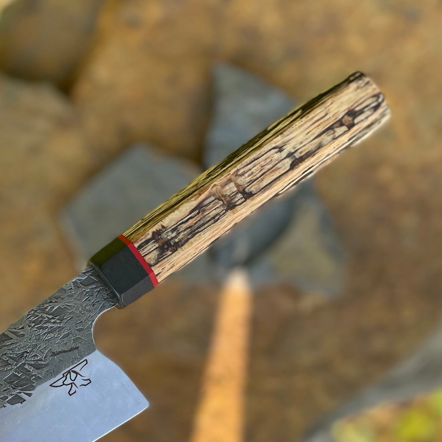 Forged Gyuto in Procut w/ Wa Spalted Pecan