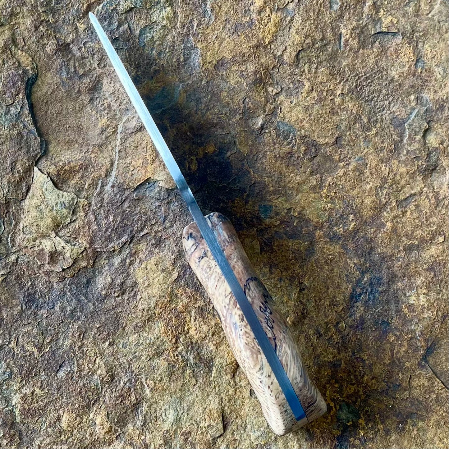 Small Skinner in 1095 w/ Oak Burl