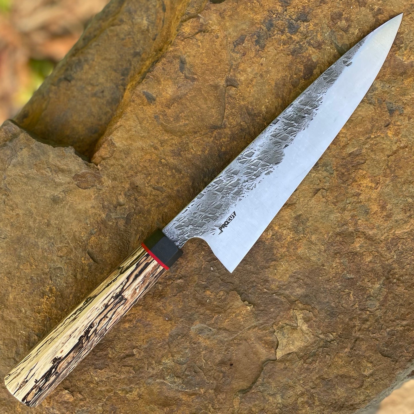 Forged Gyuto in Procut w/ Wa Spalted Pecan