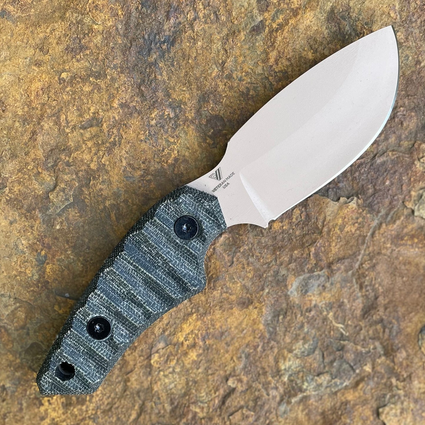 Afanc in AEB-L Tan Cerakote - Black