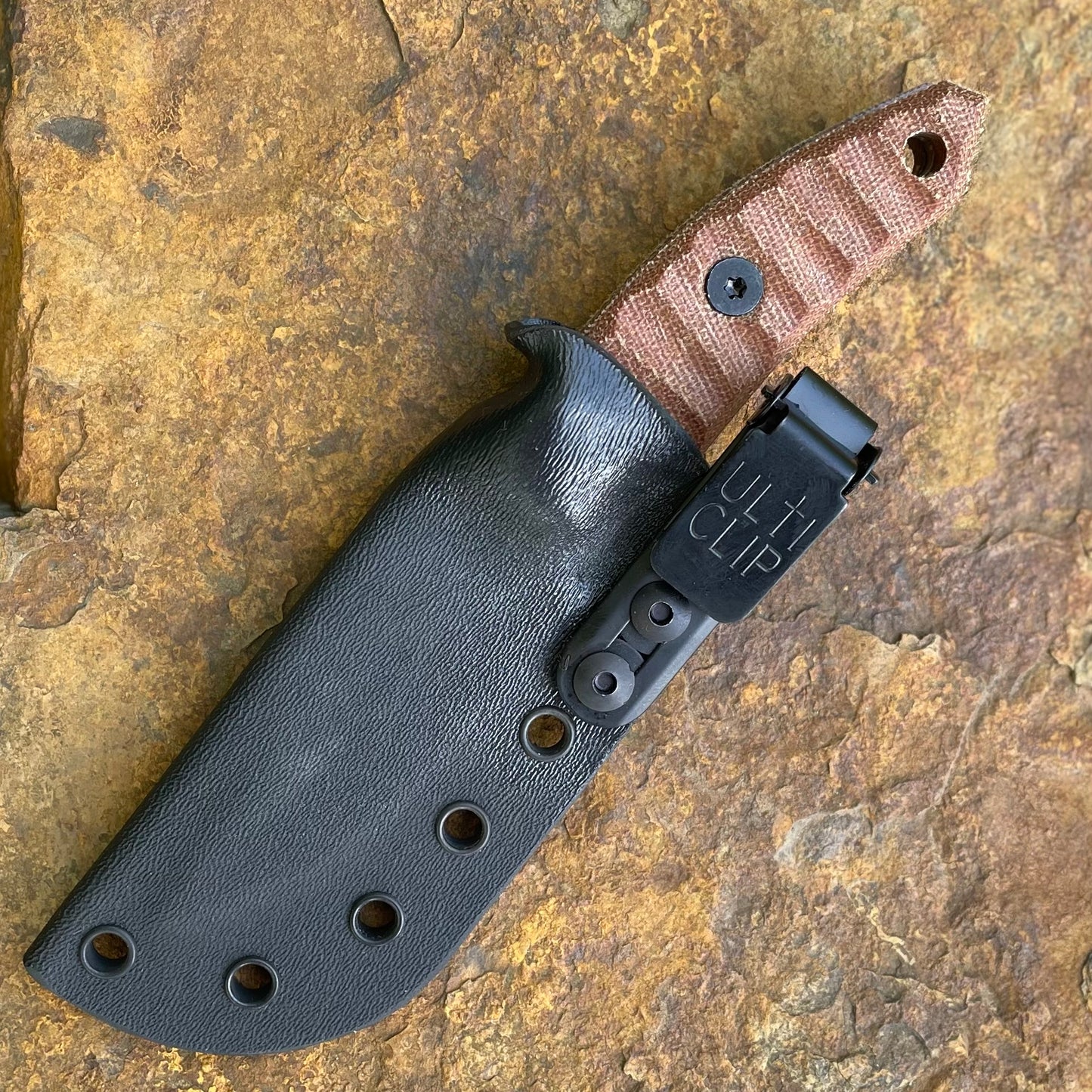 Banshee in AEB-L FDE Cerakote - Natural