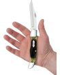 Case Cutlery Folding Hunter Olive Green