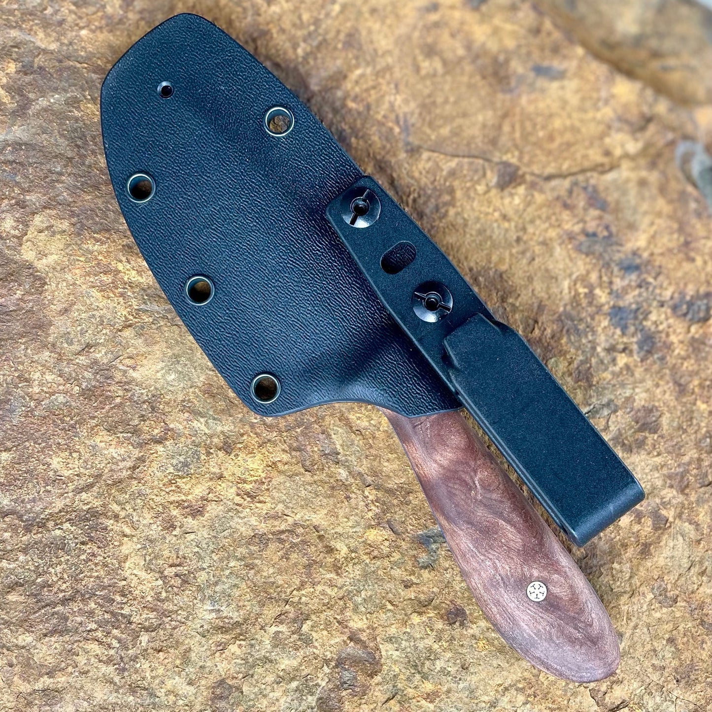 Vireo in AEB-L w/ Highly Figured Walnut
