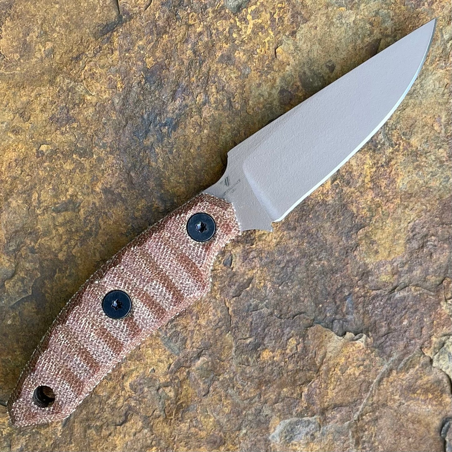 Banshee in AEB-L FDE Cerakote - Natural