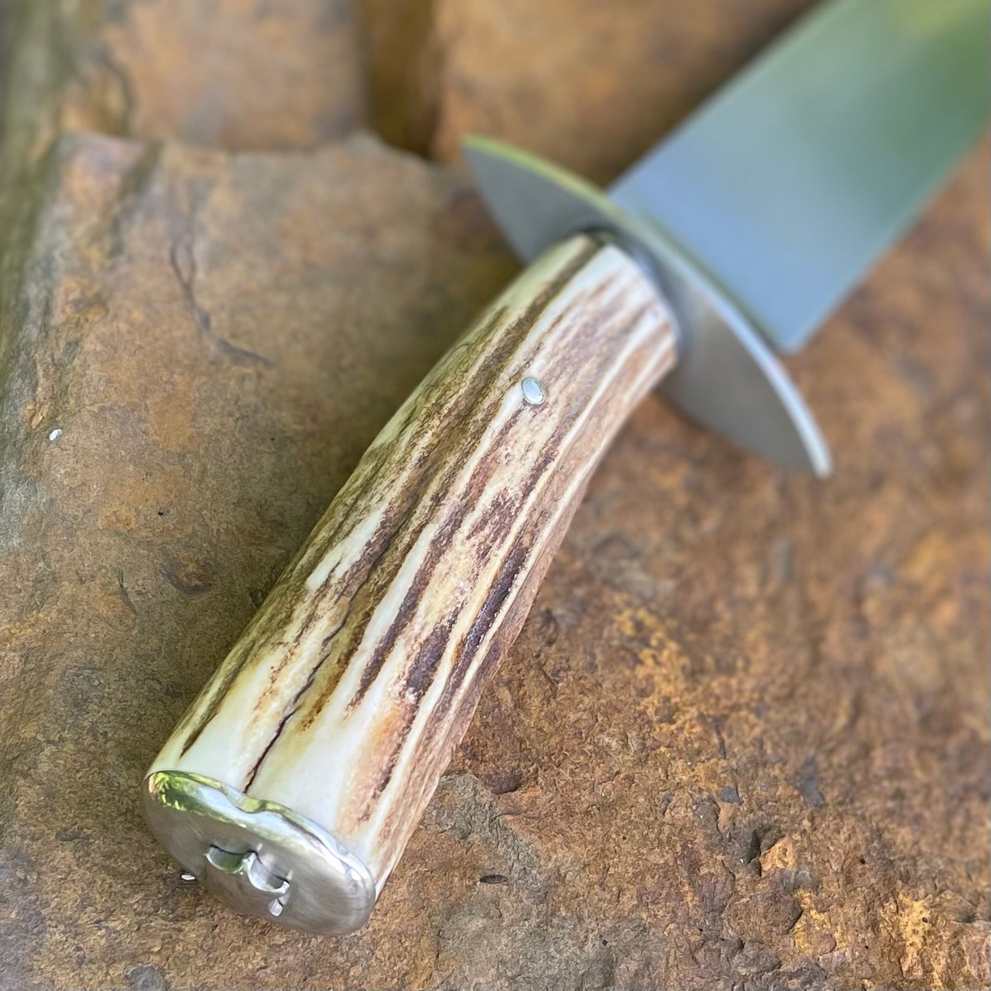 Large Bowie in 1095 w/ Sambar Stag