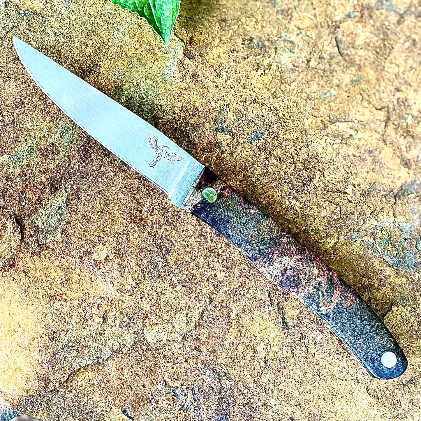 Paring Knife in 52100 w/ Box Elder Handle