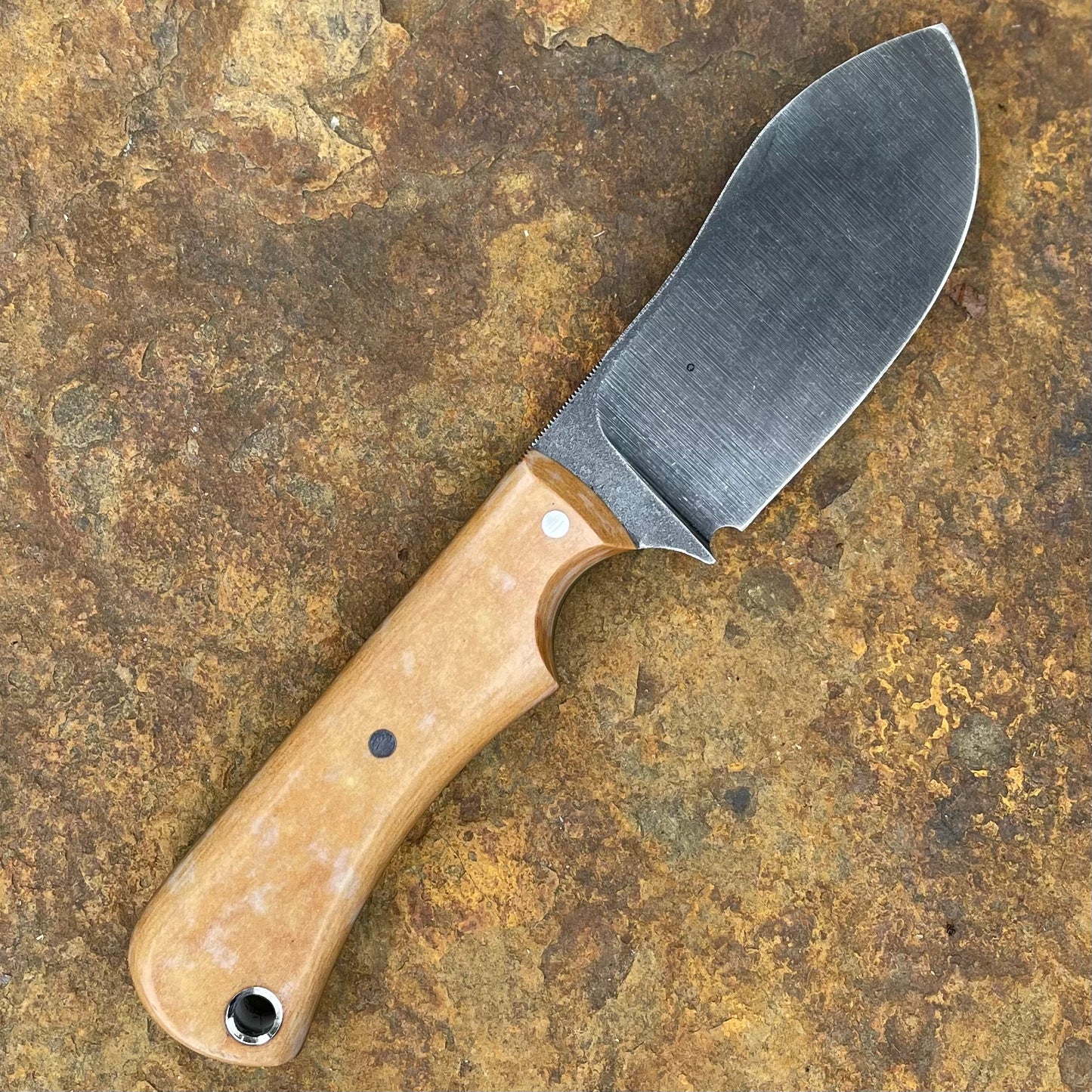 Pocket Knife in CPM154 w/ Tan Richlite