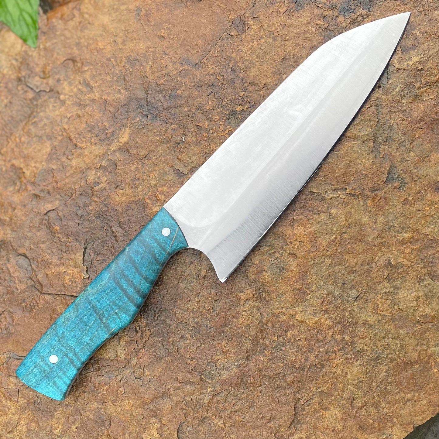 SL Petty Chef in AEB-L w/ Blue Curly Maple