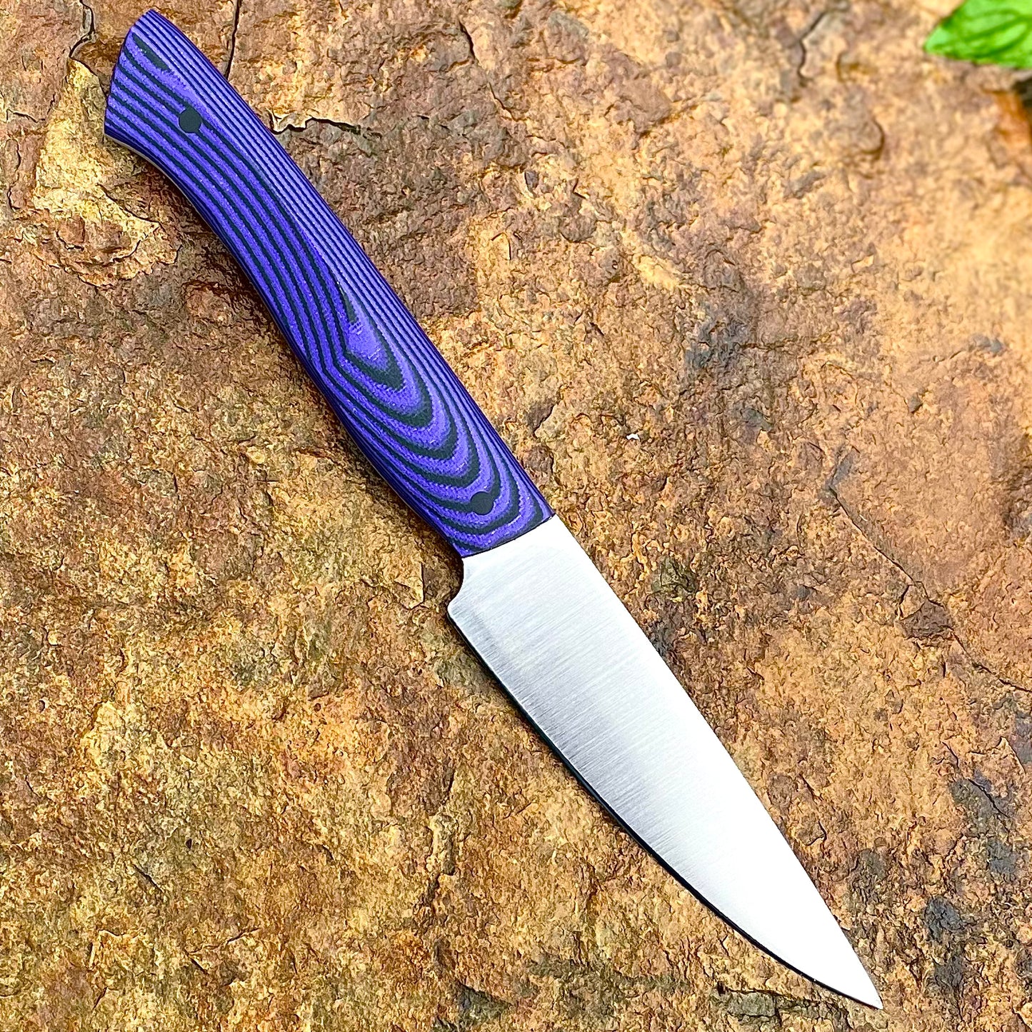 SL Paring in AEB-L w/ Purple