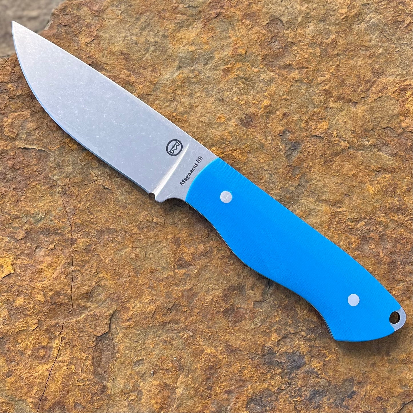 RazOrr 2.0 in Magnacut SS w/ Blue G10