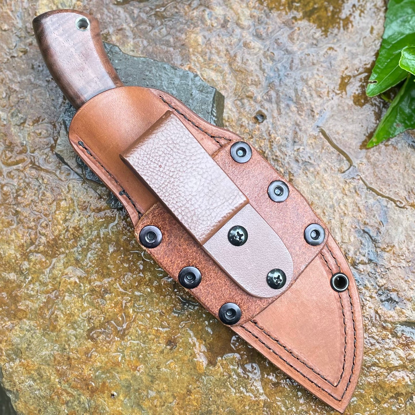 Hunter in CPM154 w/ Curly Walnut