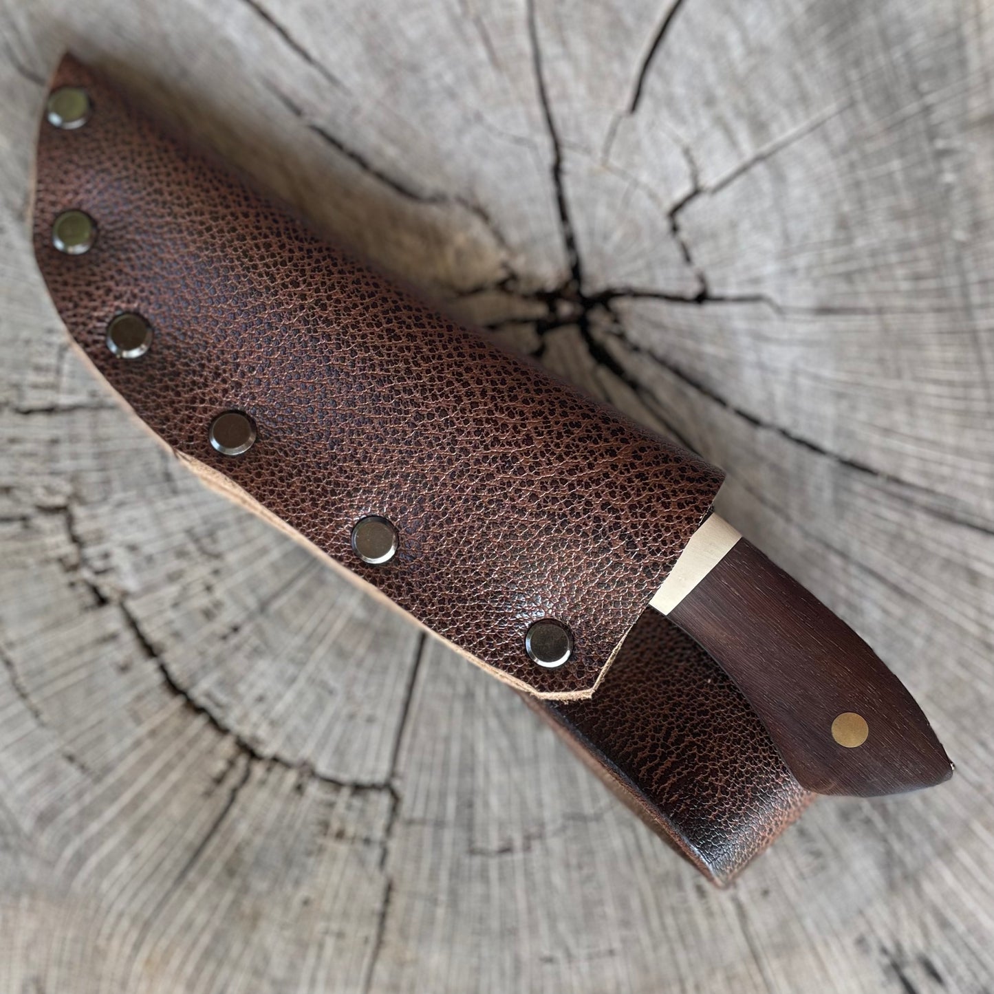 Bulldog in 80CrV2 w/ Ebony