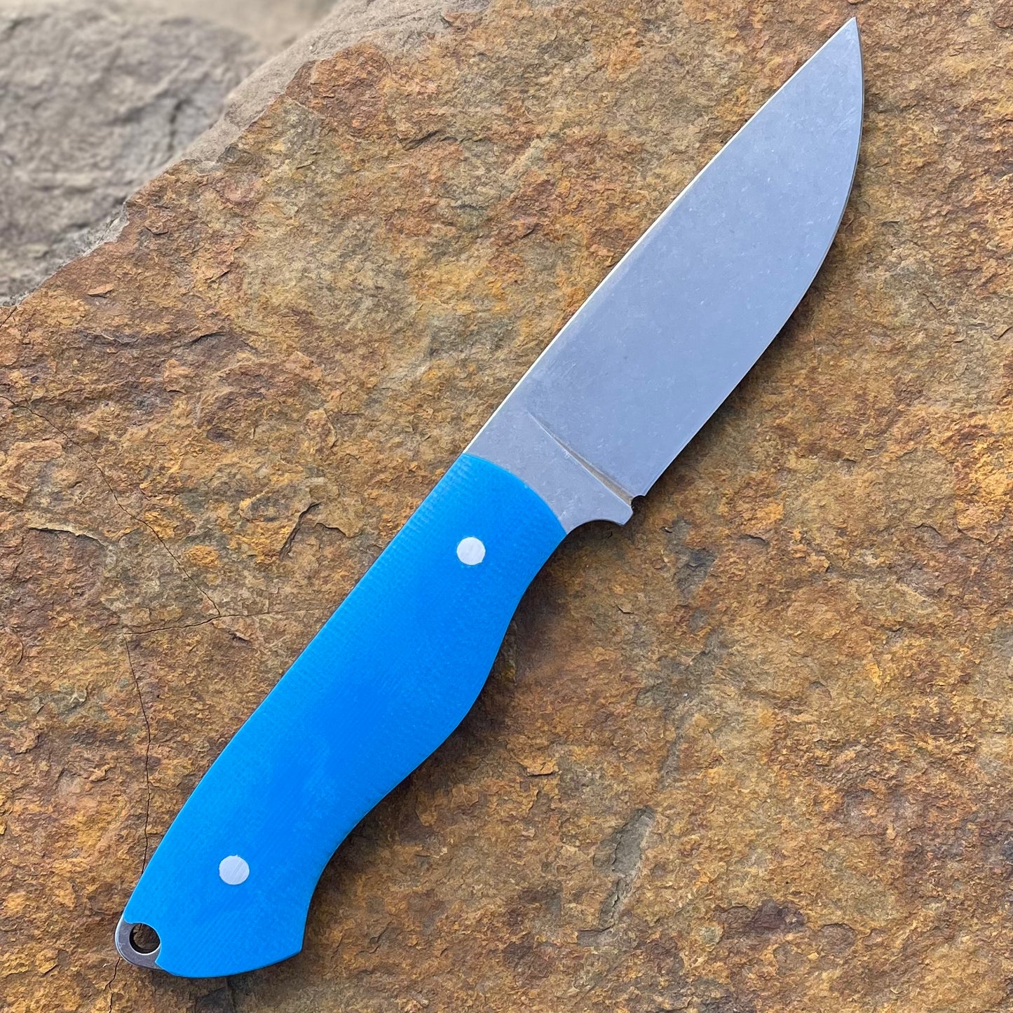 RazOrr 2.0 in Magnacut SS w/ Blue G10
