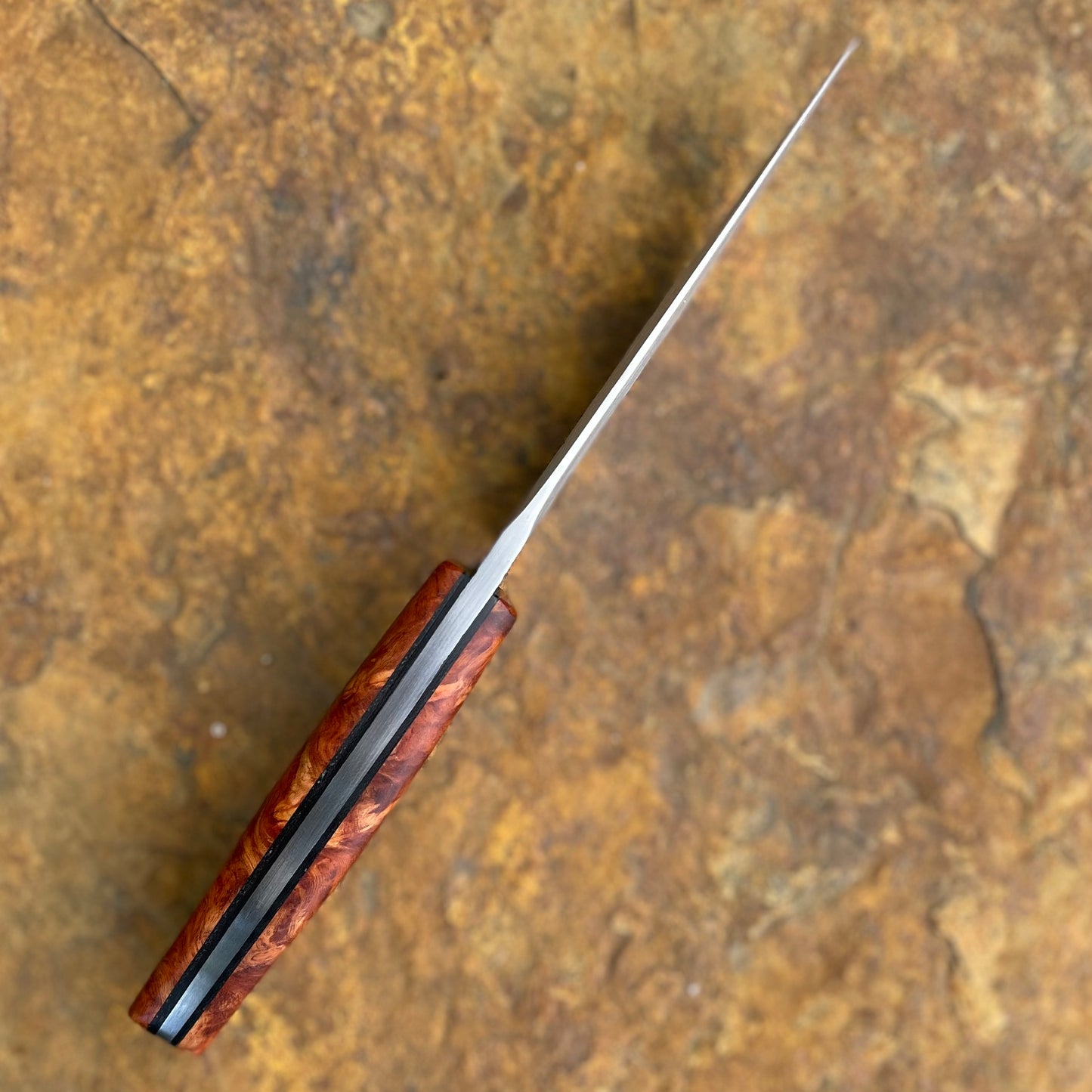 Hunter in 8670 w/ Maple Burl