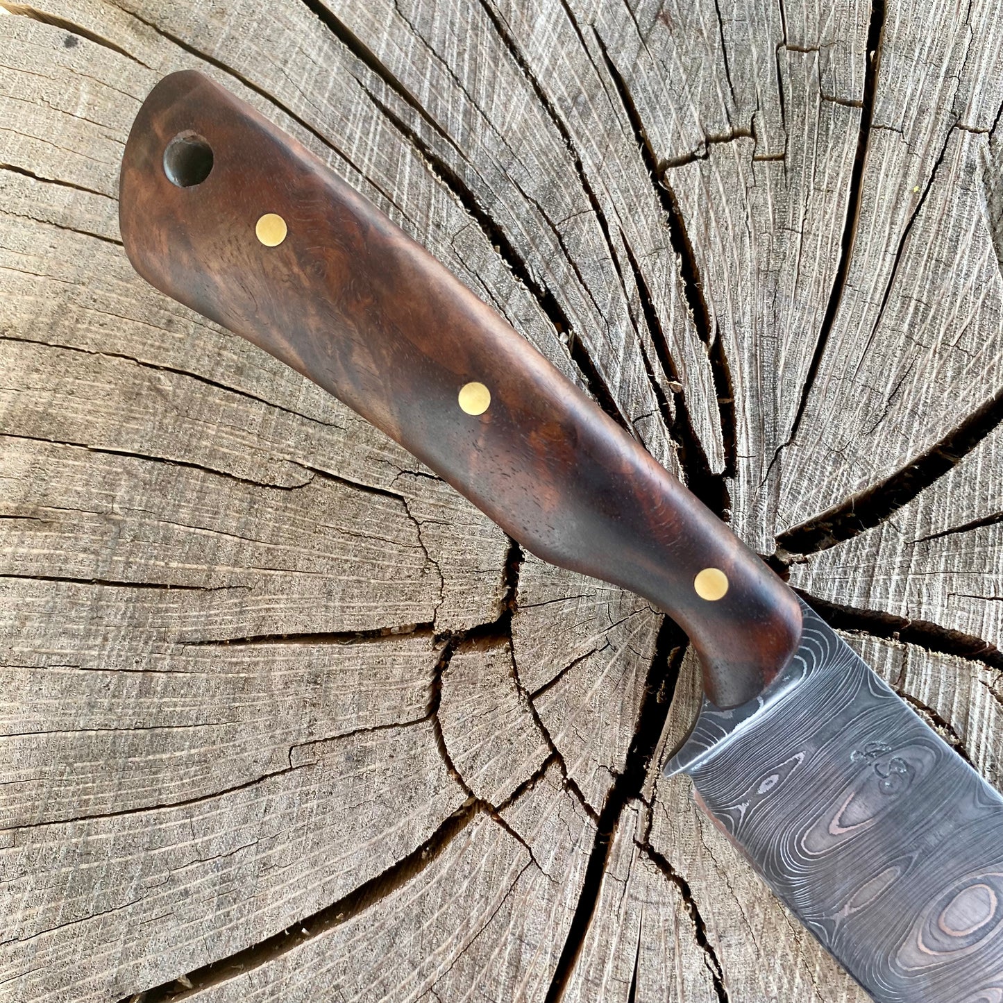 Damascus Hunter w/ Walnut