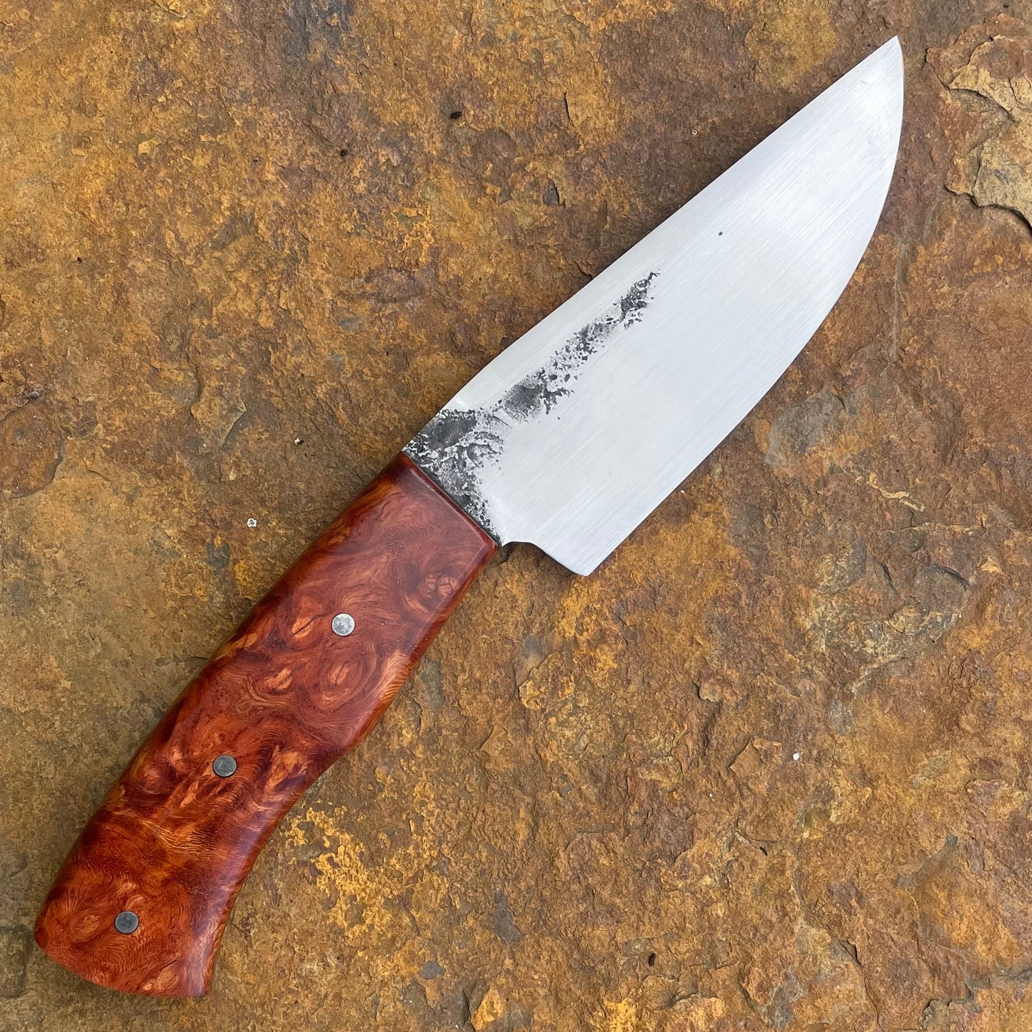 Hunter in 8670 w/ Maple Burl