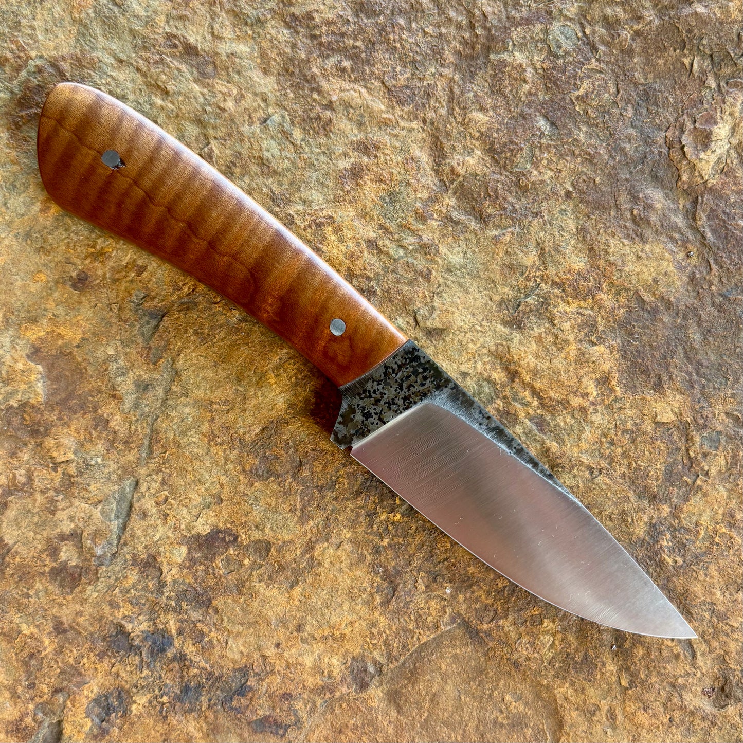 Hunter in 1080 w/ Toasted Maple