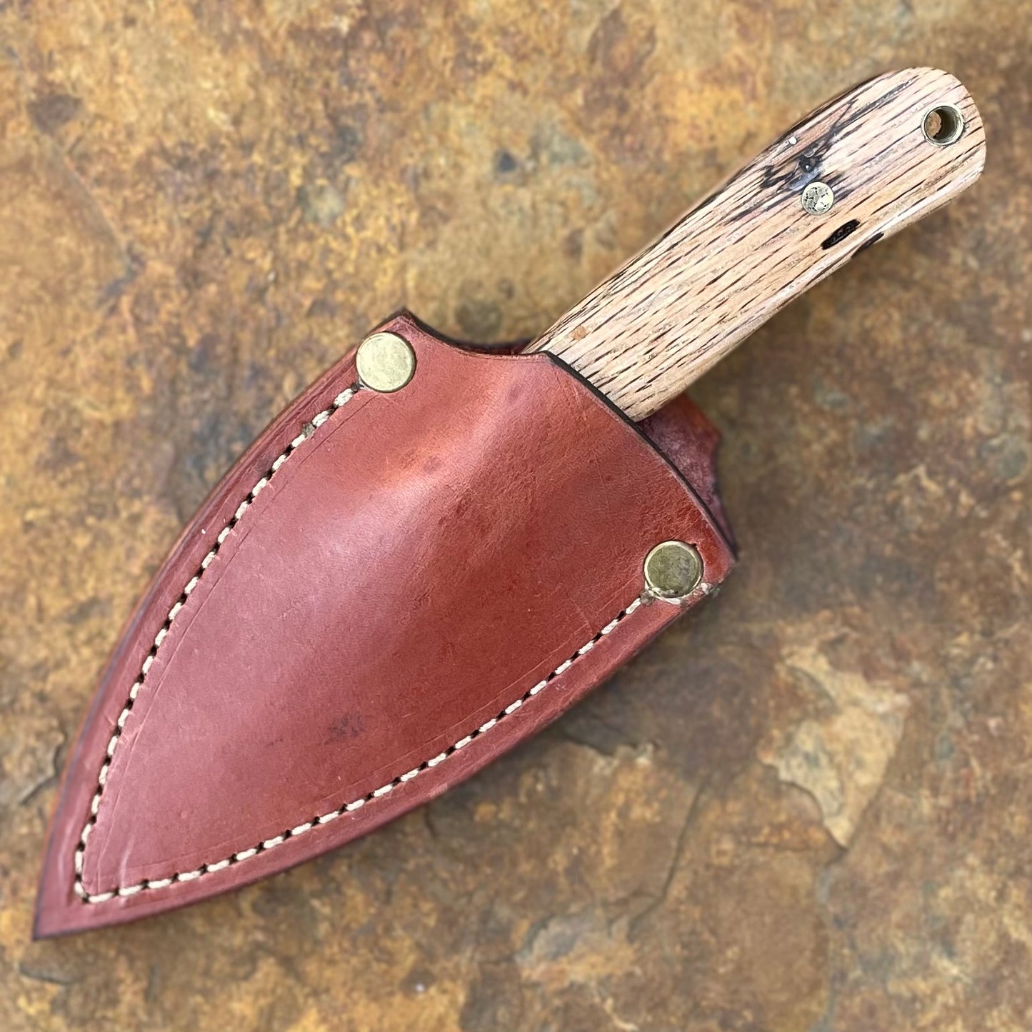 Shrike in AEB-L w/ Spalted Pecan