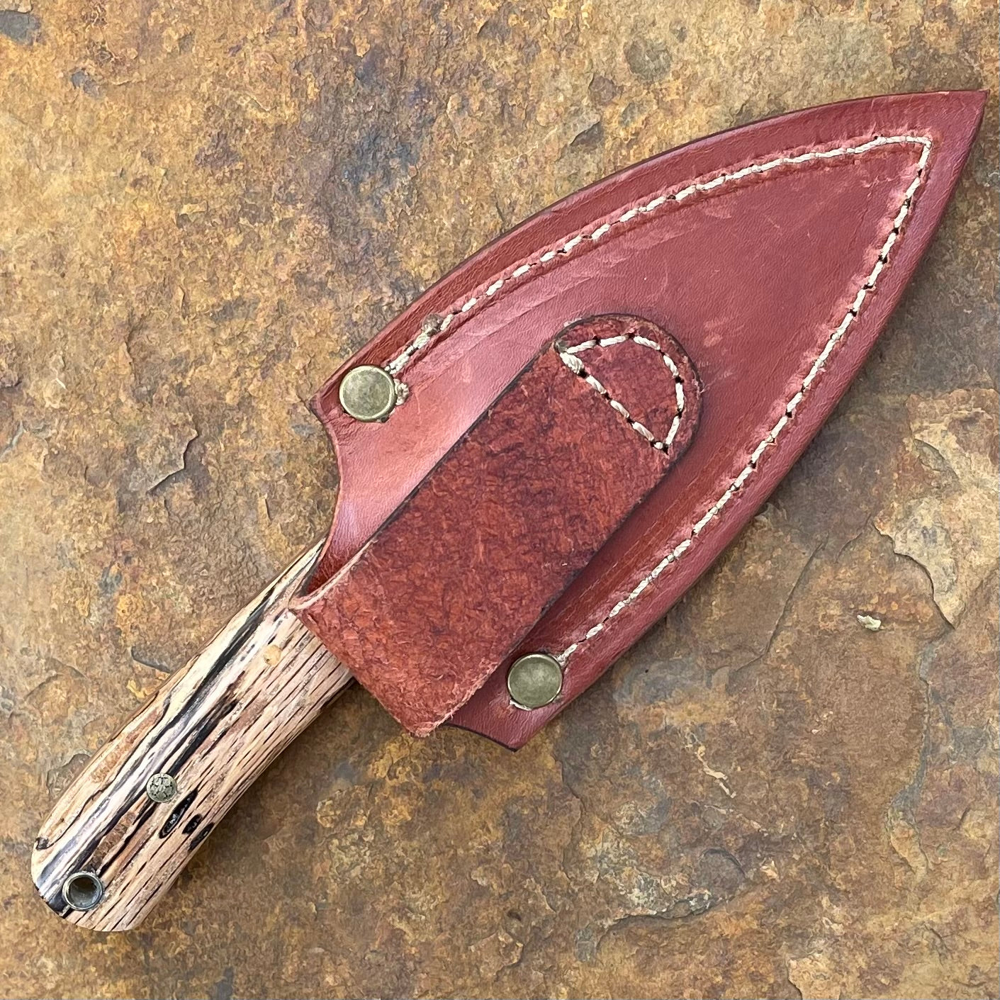 Shrike in AEB-L w/ Spalted Pecan