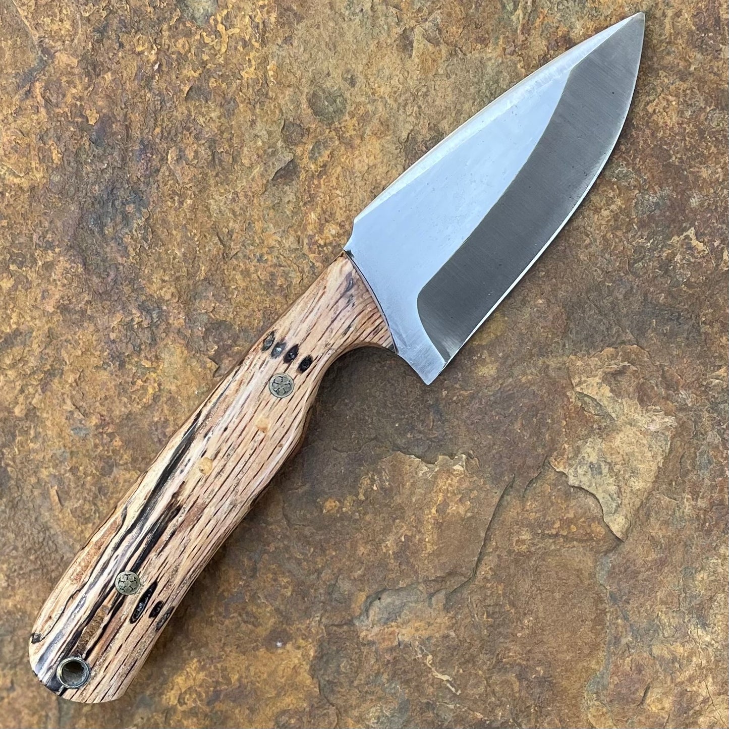 Shrike in AEB-L w/ Spalted Pecan