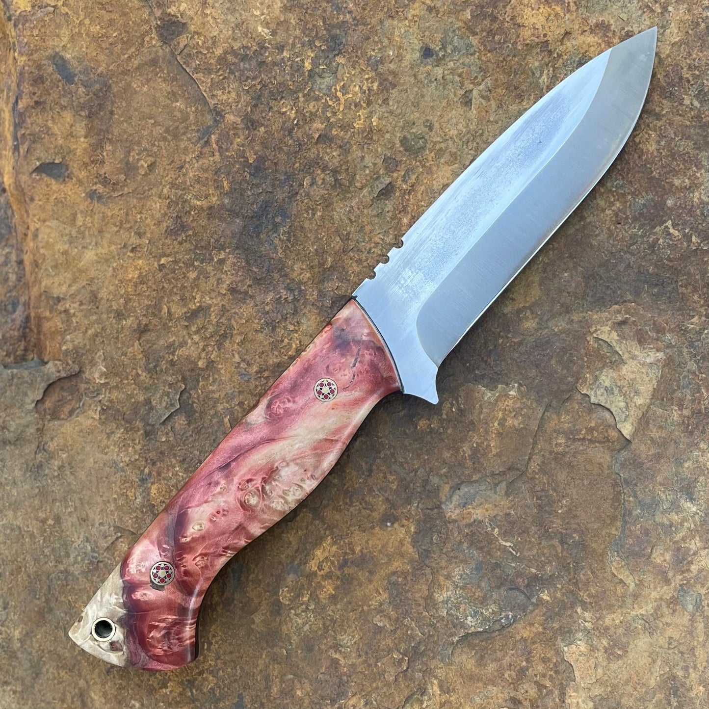 Kestral in Nitro-V w/ Red Willow