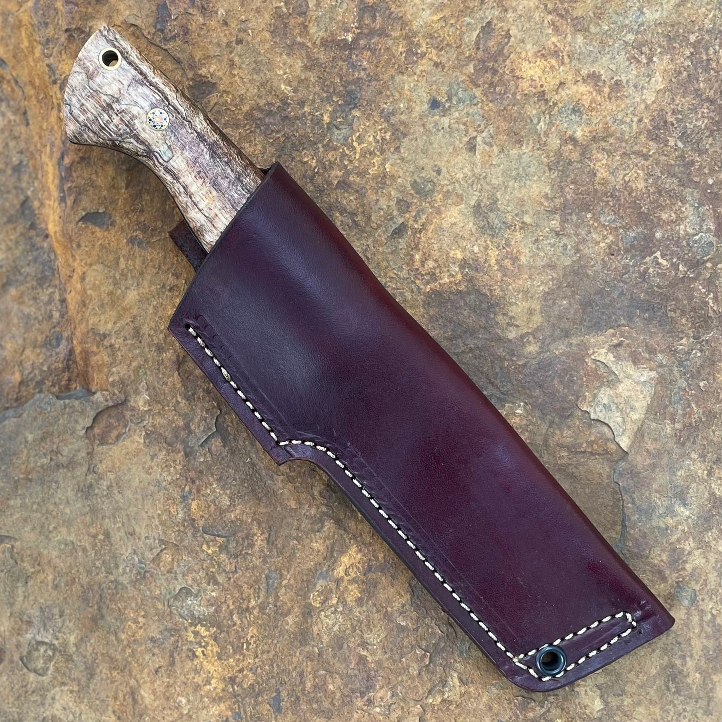 Kestral in Nitro-V w/ Spalted Curly Mango