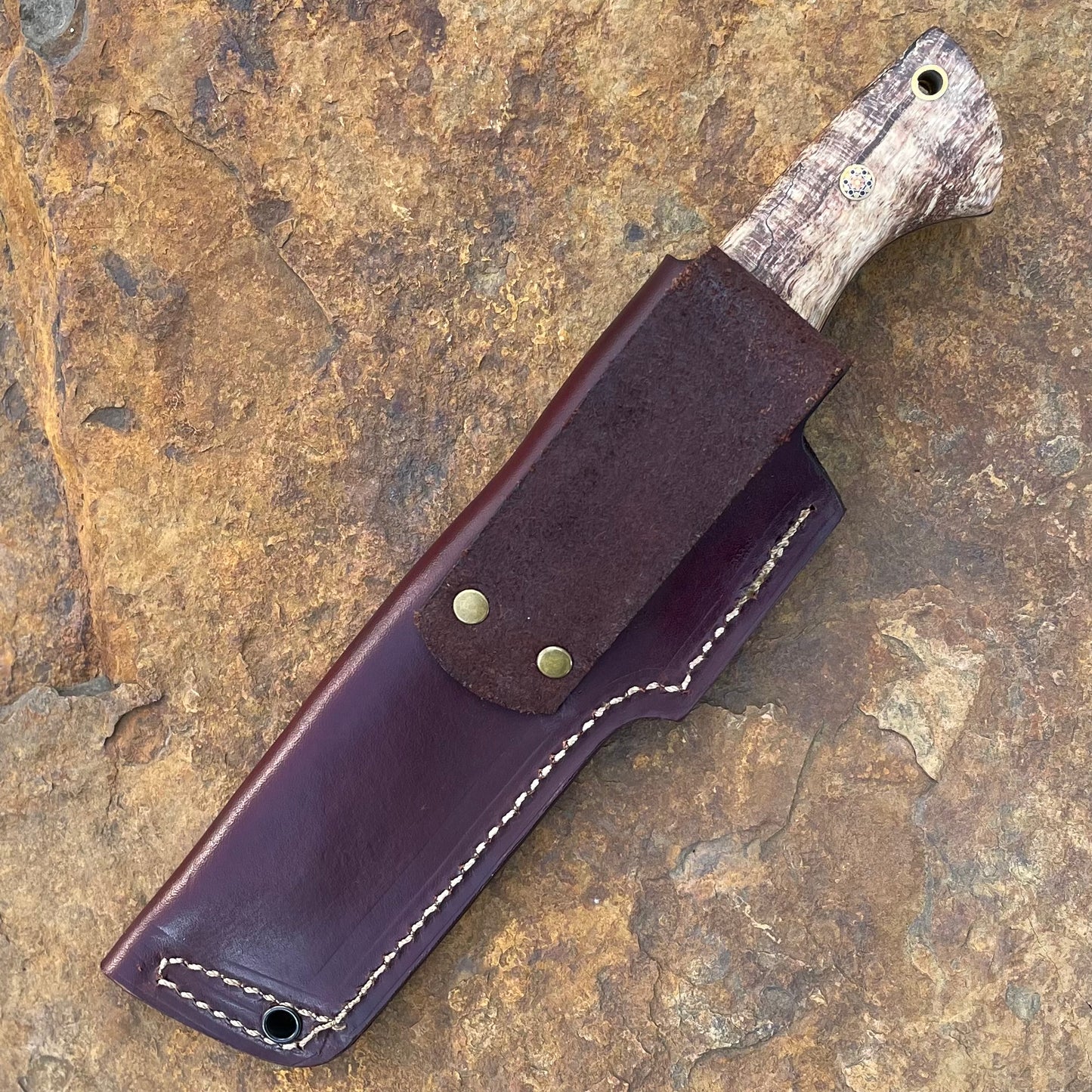 Kestral in Nitro-V w/ Spalted Curly Mango