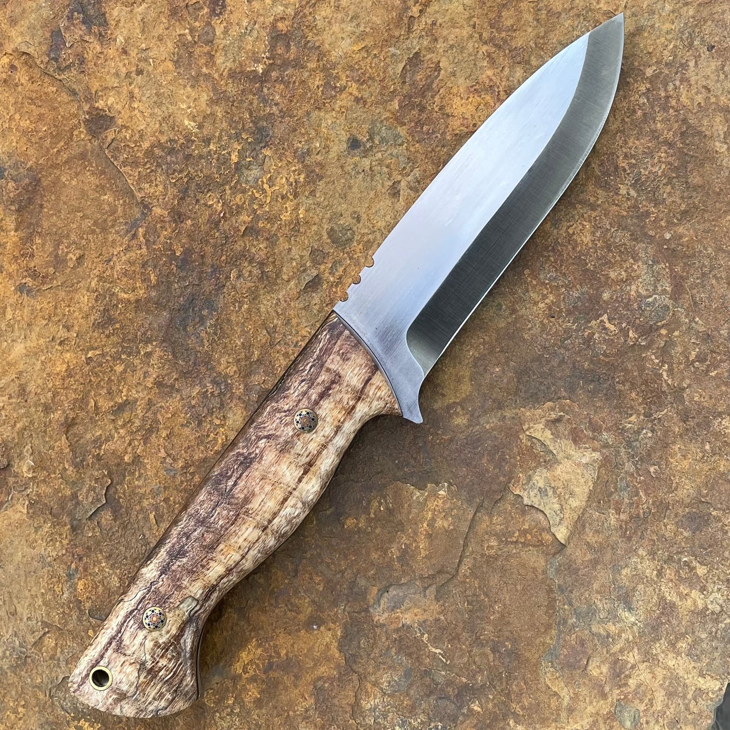 Kestral in Nitro-V w/ Spalted Curly Mango