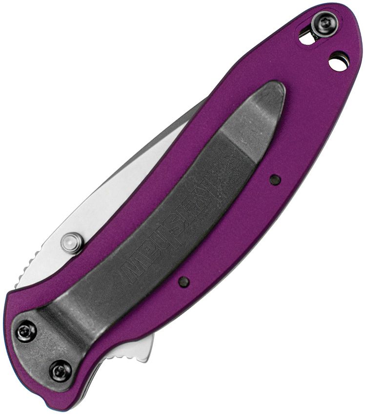 Kershaw Scallion Framelock A/O Purple/420HC