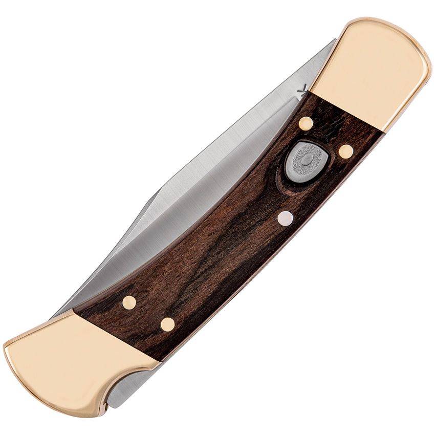 Buck Auto 110 Hunter Lockback