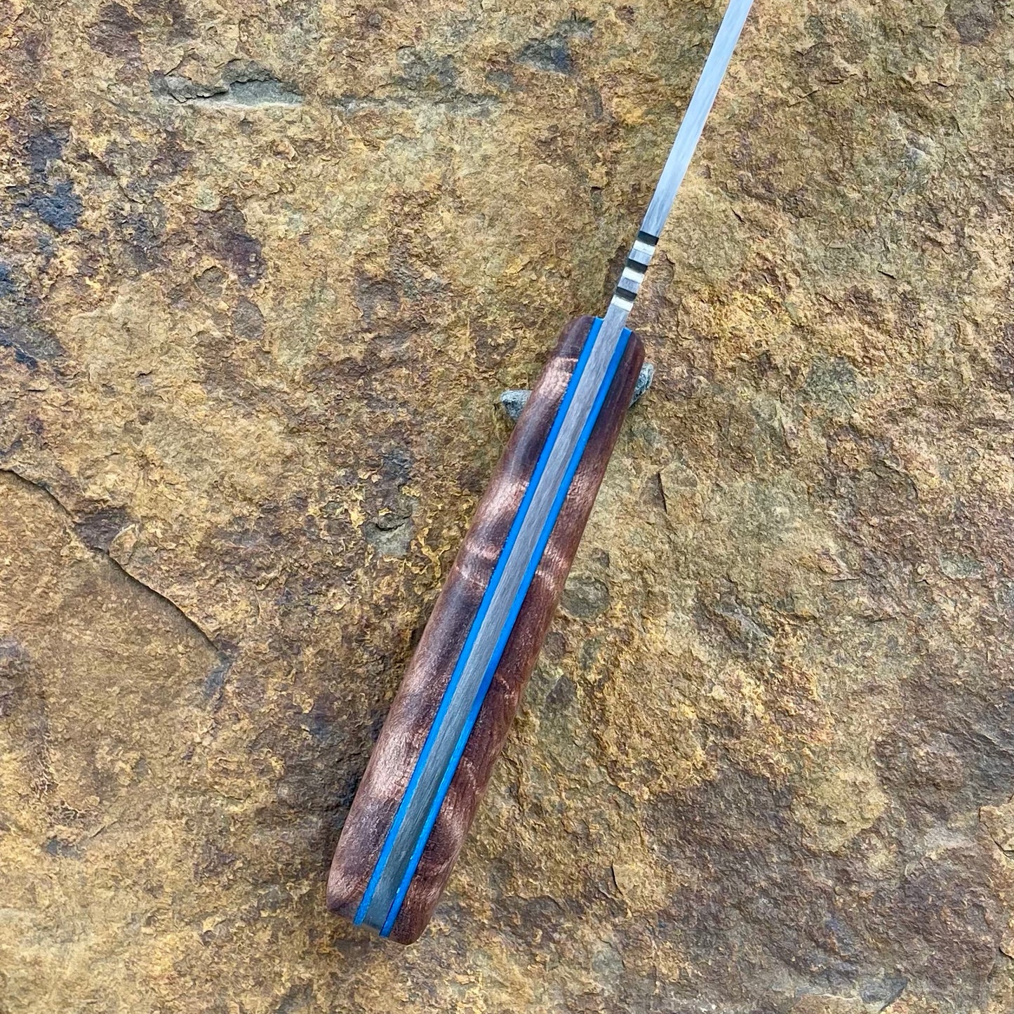 Vireo in AEB-L w/ Highly Figured Walnut