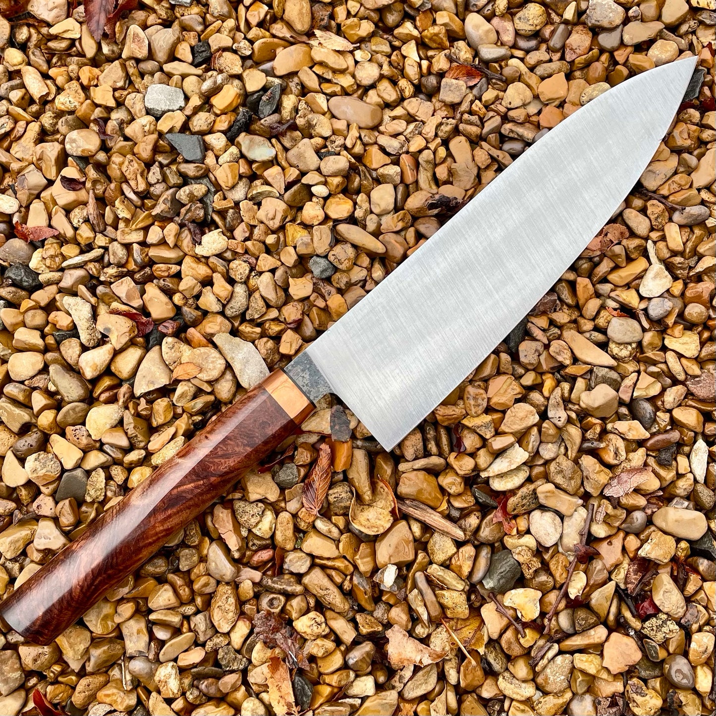 Gyuoto Culinary Knife in 15N20 w/ Cocobolo