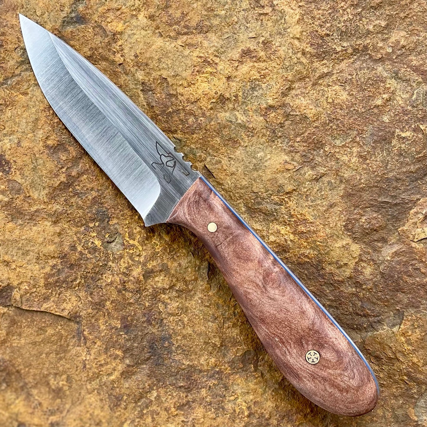 Vireo in AEB-L w/ Highly Figured Walnut