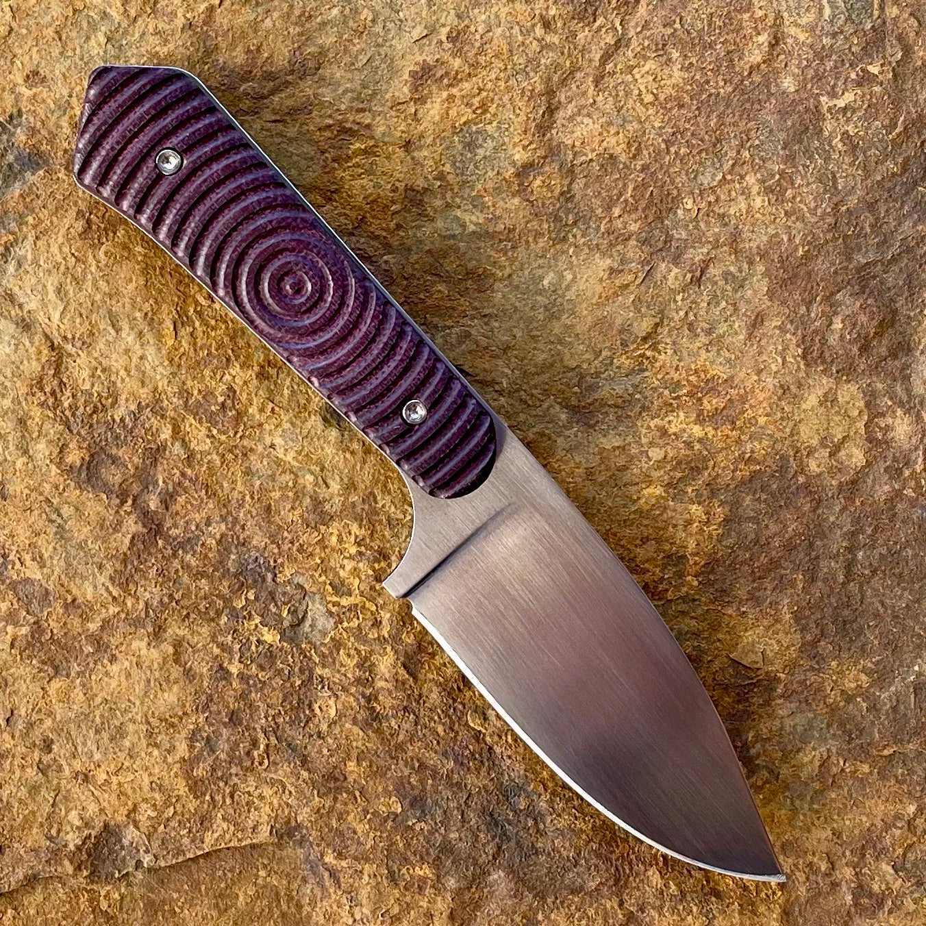 Side Kick EDC in 80CrV2 w/ Maroon Micarta