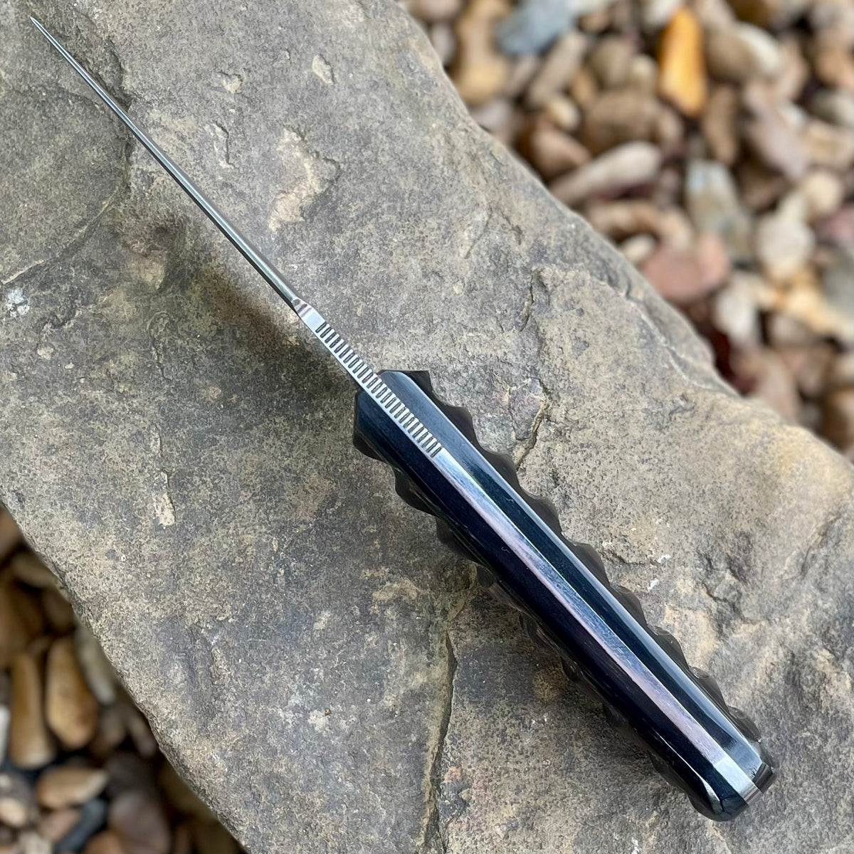 Olivia Pocketknife in W2 w/ Impala jigged Buffalo horn