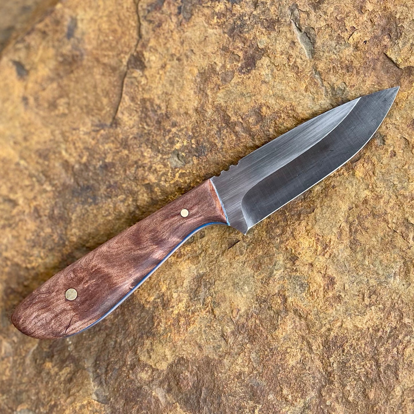 Vireo in AEB-L w/ Highly Figured Walnut