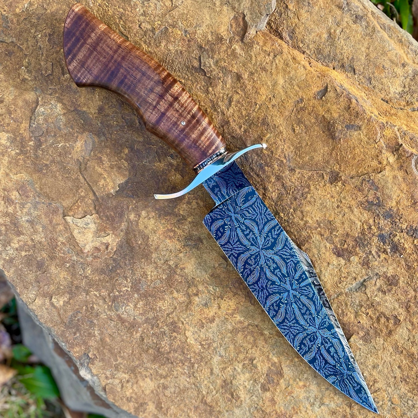 Damascus Bowie Fighter w/ Curly Koa