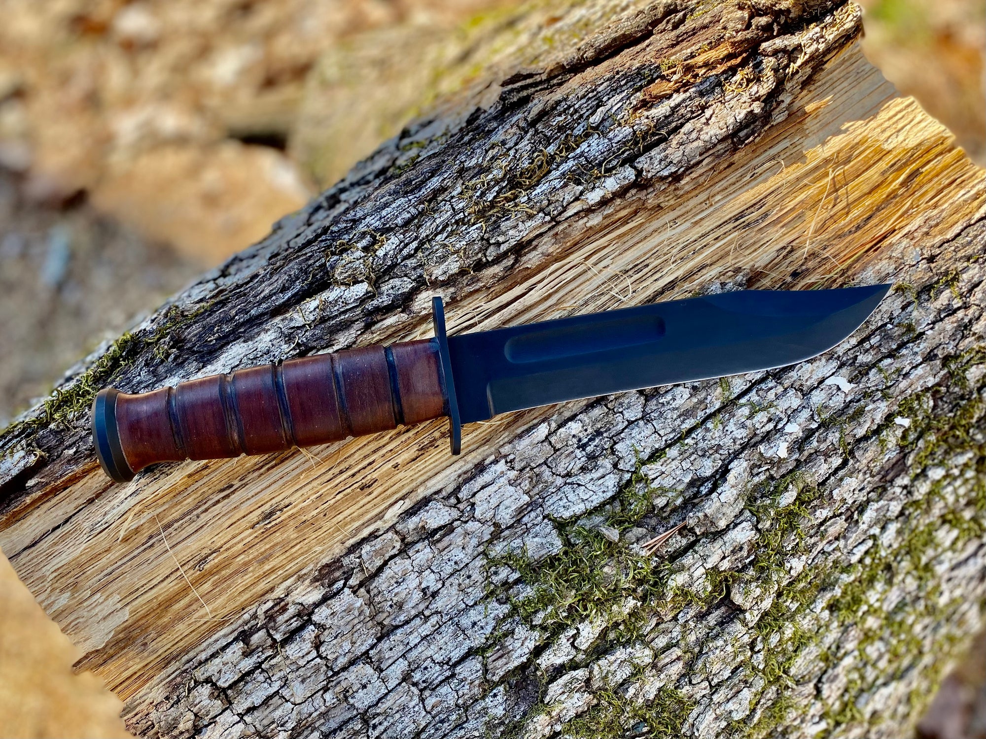 Arkansas Knife Shop Showcasing Knife Makers