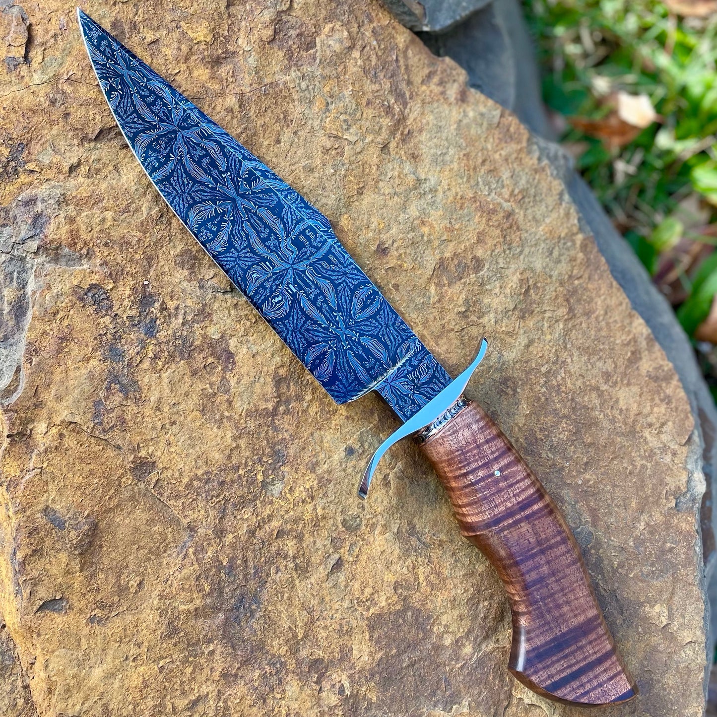 Damascus Bowie Fighter w/ Curly Koa