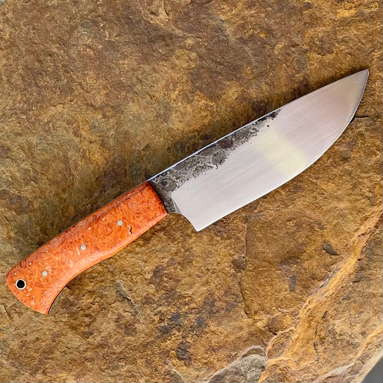 Hunter in 80CrV2 w/ Orange Box Elder Burl