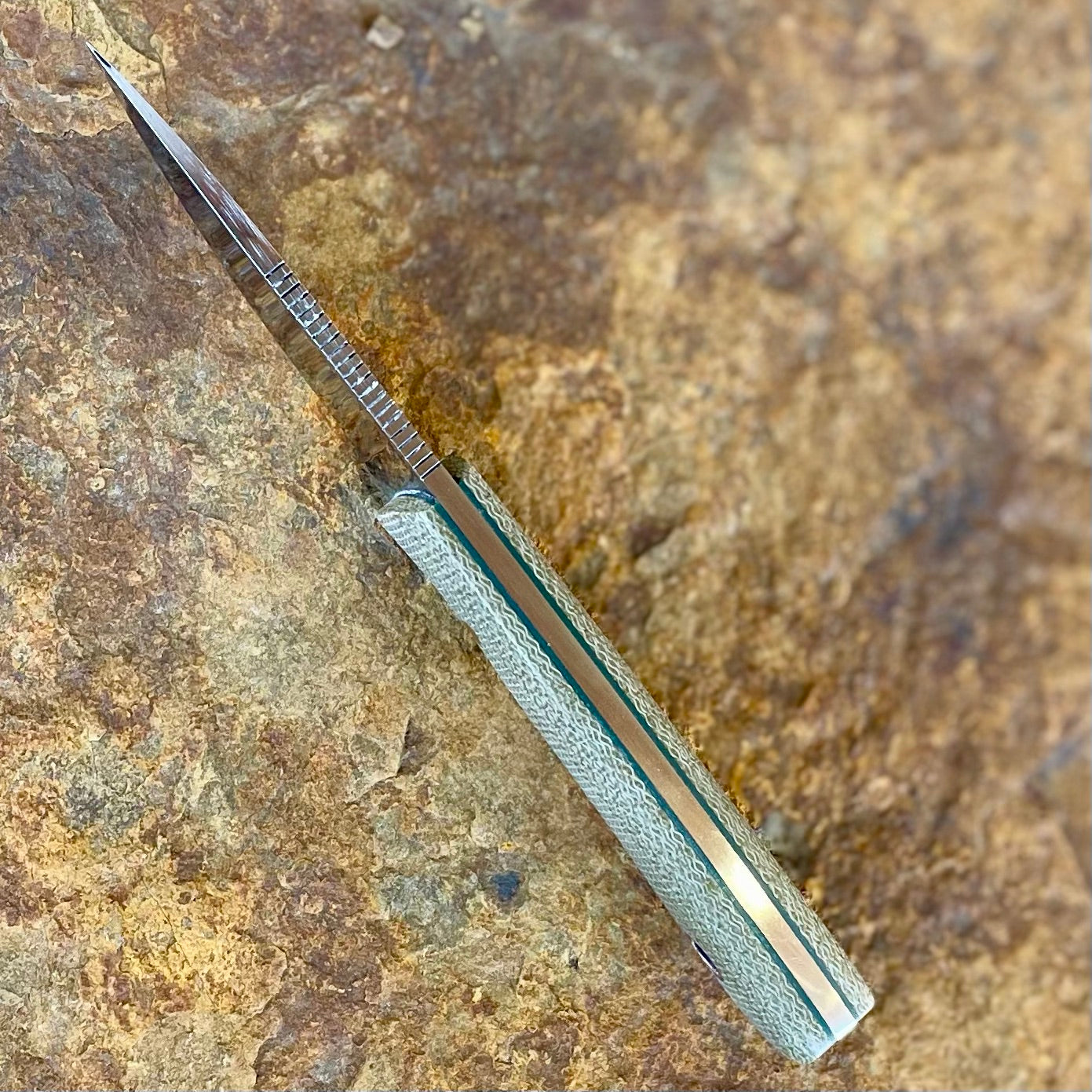 Pocket Knife in Nitro-V w/ OD Micarta