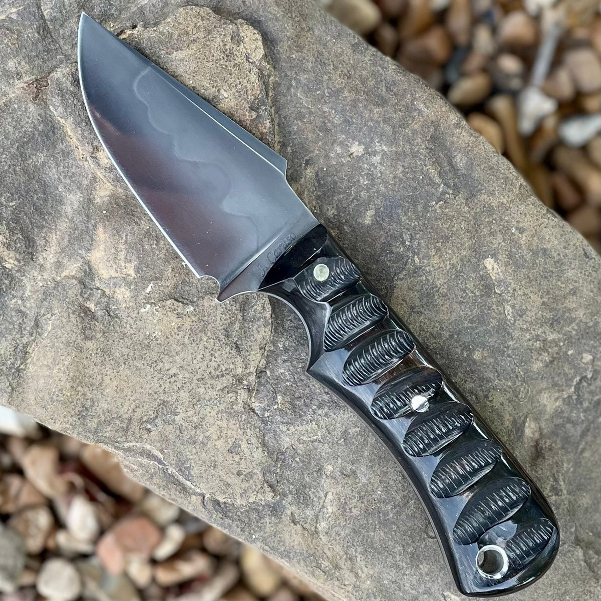 Olivia Pocketknife in W2 w/ Impala jigged Buffalo horn