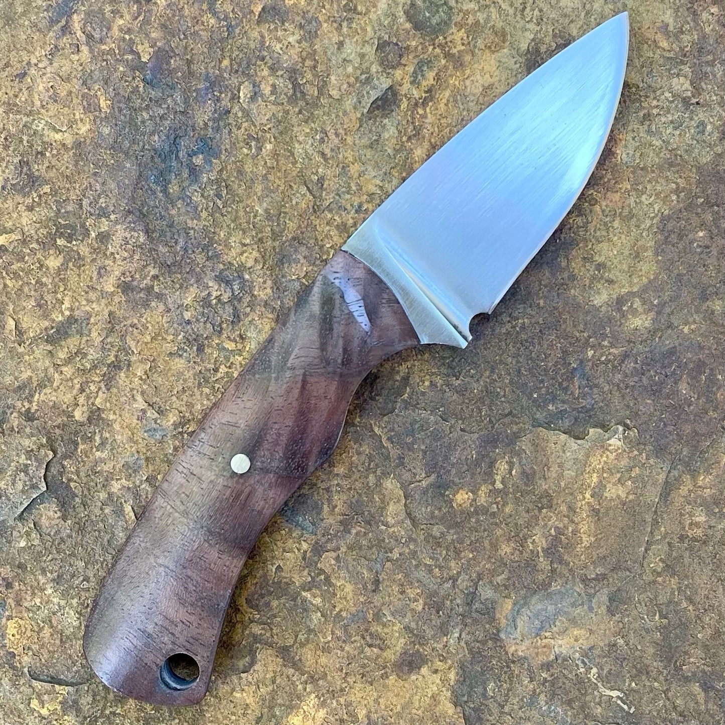 Gentleman EDC in 1075 w/ Black Walnut