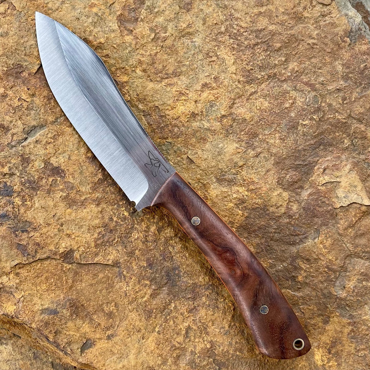 Vulture in AEB-L w/ Walnut