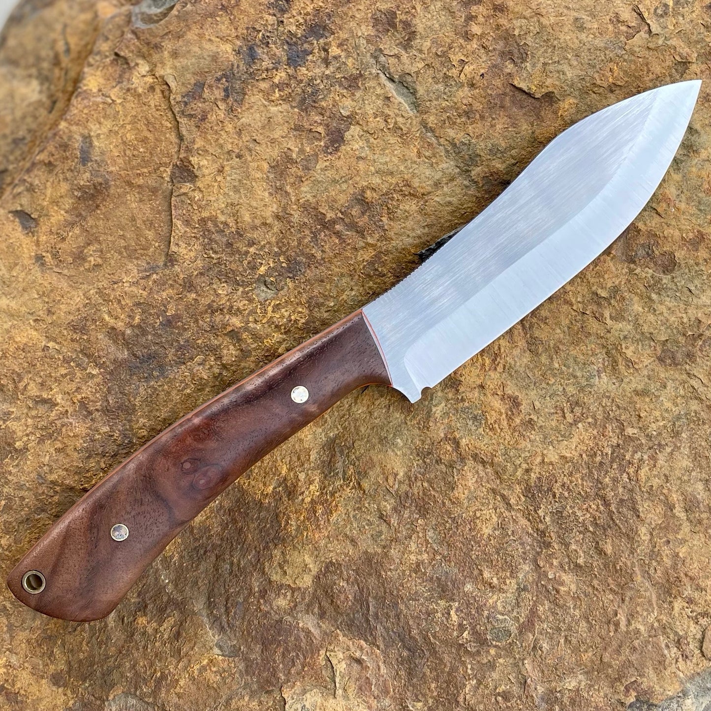 Vulture in AEB-L w/ Walnut